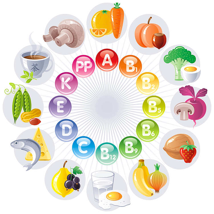 De Schijf van Vijf: elk vak zijn eigen vitamine? - Vitamine Informatie Bureau